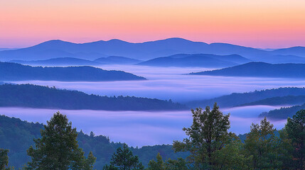 Fototapeta premium A mountain range in the distance is shrouded by fog with trees in the foreground