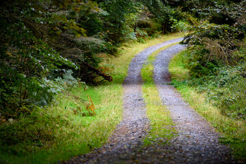 Fototapeta premium Gravel road with grass on the middle.