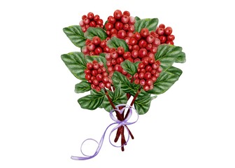 Watercolor illustration on white background, Bouquet of coffee branches, red coffee berries with purple ribbon in the shape of a heart. for menu, design, coffee shop, cafe, home aromas, perfume 