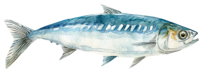 PNG Watercolor fish illustration art