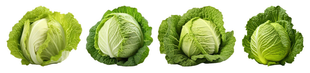 Fototapeta premium Fresh cabbage png cut out element set