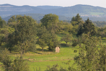 Nürtingen, Reudern, Schwäbische Alb, Summer, Meadow, Mountains, Orchard, Shack