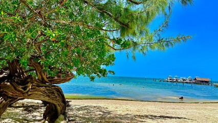 The view at Cancun Beach, Mexico is stunning.