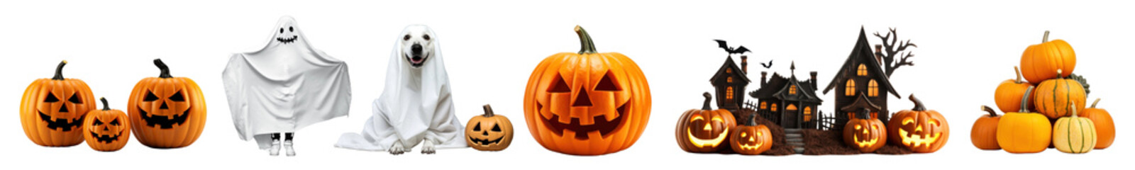 real photo of a Halloween objects decoration png cut out element set