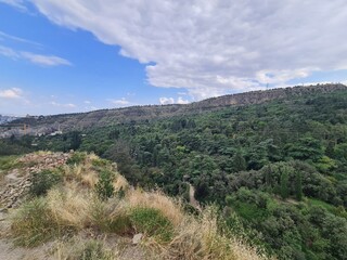 view on a forest with atmospheric sky from a hill in Tbilisi, Georgia