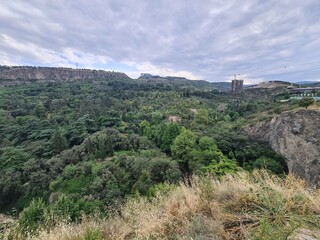 Obraz premium view on a forest with atmospheric sky from a hill in Tbilisi, Georgia