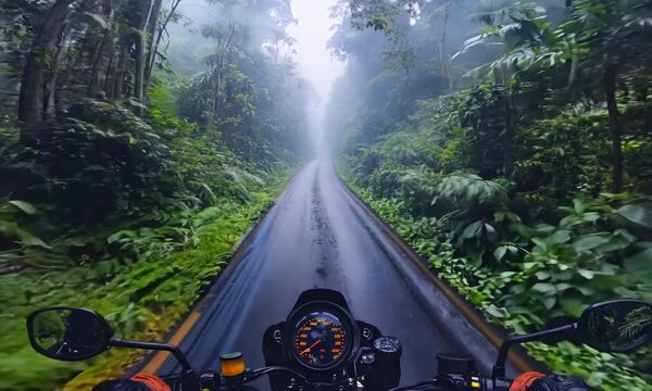 Riding a motorbike in the forest