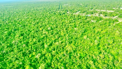 aerial view from the plane, Mexico