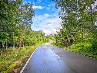 Obraz premium road in the countryside