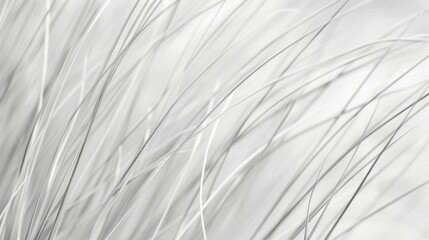 A minimalist design featuring thin vertical lines reminiscent of tall blades of grass gently swaying in the wind