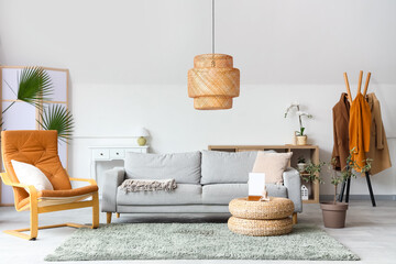 Cozy sofa, armchair and decorative olive tree in interior of living room
