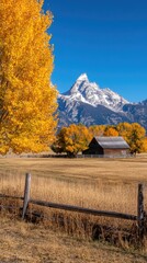 A serene morning in Officer Park showcases an old barn and a colorful tree with golden leaves, framed by the stunning Grand Teton mountains in the background