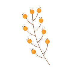 Colorful autumn leaves in orange and red, Vector