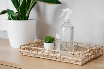 Tray with bottle of aroma spray and plant on shelf in room, closeup