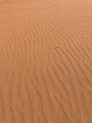 Sahara Sand