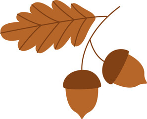 Oak Branch With Acorns
