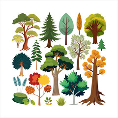 high resolution vector, silhouette, colorful tree image,