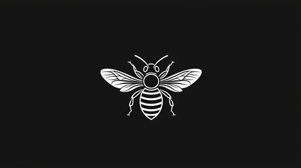   Black-and-white picture of a bee against a dark backdrop, featuring a white outline of the insect on its front side