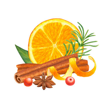 recommend clip art: Slice of orange fruit with leaves, cinnamon, berries, citrus peel and anise, rosemary or spruce, pine. Healthy organic ingredients for baking and drinks. Hand drawn watercolor illustration. For design