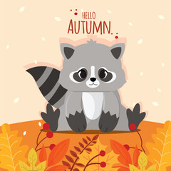 Cute racoon with autumn leaves and text Hello Autumn, Vector