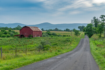 Red bard along country road