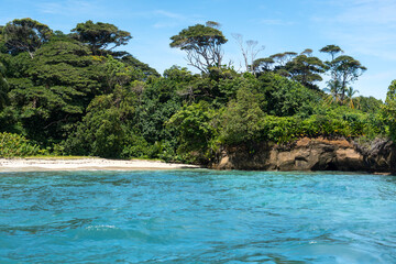 Stunning Tropical Island with Crystal Clear Water, Lush Vegetation, and Palm Trees - Serene Paradise Beach in the Caribbean, Perfect for Eco Tourism, Summer Vacations, and Exotic Travel Destinations