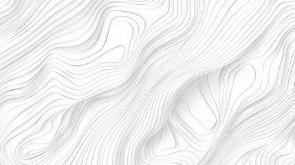 Obraz premium Abstract white and gray flowing lines 3D background.