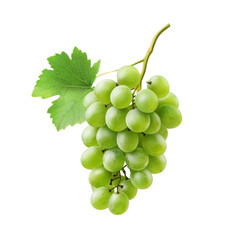 Obraz premium Bunch of fresh green grapes with leaves, isolated on transparent background