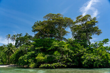 Obraz premium Stunning Tropical Island with Crystal Clear Water, Lush Vegetation, and Palm Trees - Serene Paradise Beach in the Caribbean, Perfect for Eco Tourism, Summer Vacations, and Exotic Travel Destinations