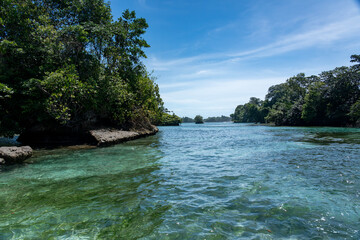 Stunning Tropical Island with Crystal Clear Water, Lush Vegetation, and Palm Trees - Serene Paradise Beach in the Caribbean, Perfect for Eco Tourism, Summer Vacations, and Exotic Travel Destinations