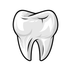 Tooth icon illustration. Dental clinic logo. Clean teeth. Vector EPS 10. Vector file isolated on a white background. Flat cartoon design. Tooth single for design elements