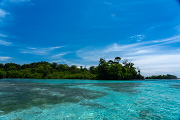 Stunning Tropical Island with Crystal Clear Water, Lush Vegetation, and Palm Trees - Serene Paradise Beach in the Caribbean, Perfect for Eco Tourism, Summer Vacations, and Exotic Travel Destinations