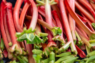 A closeup of a bunch of vibrant red stalks of rhubarb for sale at a farmer's market. The raw root vegetable is sour tasting, tarty, crunchy and ripe. The rhubarb has small green leaves at the top. 