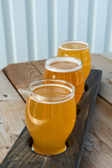 A flight or an assortment of craft beers in small clear glasses on a wooden paddle in a restaurant pub. Each of the tasting sample beers ranges from dark yellow to golden color with froth on top. 