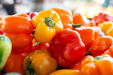 Raw bright red, yellow and orange colored organic bell peppers with green stalks in a bin for sale at a farmer's market are ripening.  The fresh whole round vegetables have a firm shiny waxy skin.  - Powered by Adobe