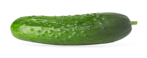 One fresh green cucumber isolated on white
