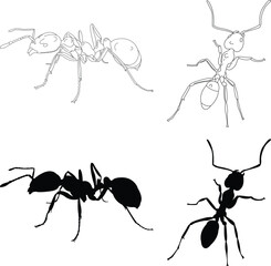 Ant insect shapes. Solid ant silhouette profile and top down vector art on isolated background.