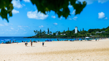 Summer Day at Waimea Bay