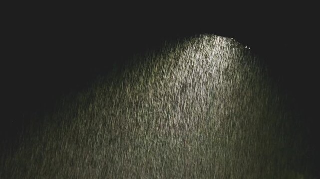 Heavy rain illuminated with street light
