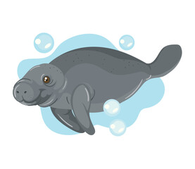 manatee sea animal cartoon