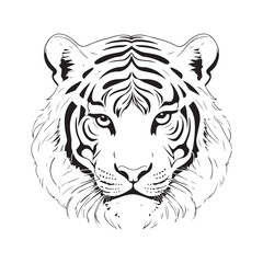 line art tiger on white background. sketch style. Vector graphic icon animal.