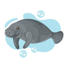 cute cartoon manatee