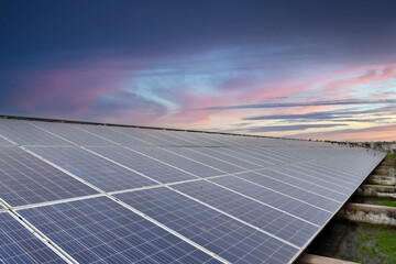 Dirty rooftop solar panels covered with bird droppings, leaves, dust, and bird footprints can...