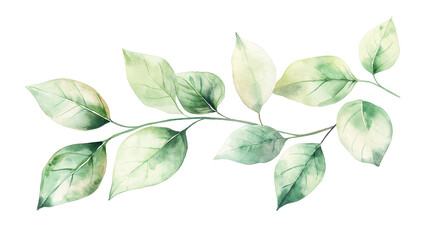 Naklejka premium Watercolor Green Leafy Branch Illustration on White Background 