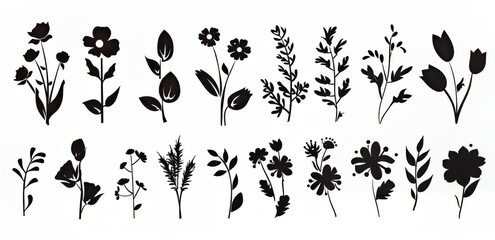 A collection of elegant black silhouette flowers and foliage designs.