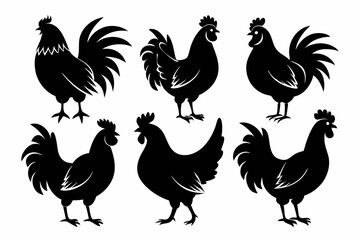 Set Of Chicken vector illustration.