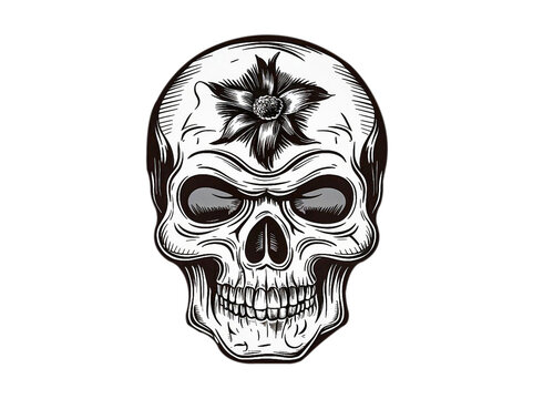 dancing skeleton, monochrome skull, dancing skeleton, human skull