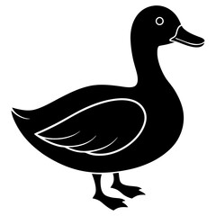 Duck isolated on white, duck vector illustration, animal vector art, duck silhouette, pet vector icon, duck cartoon line art, eps