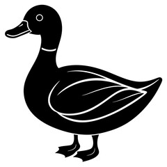 Duck isolated on white, duck vector illustration, animal vector art, duck silhouette, pet vector icon, duck cartoon line art, eps
