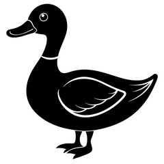Duck isolated on white, duck vector illustration, animal vector art, duck silhouette, pet vector icon, duck cartoon line art, eps
